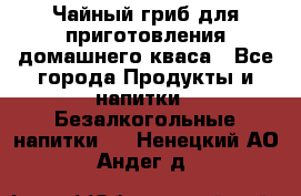 Чайный гриб для приготовления домашнего кваса - Все города Продукты и напитки » Безалкогольные напитки   . Ненецкий АО,Андег д.